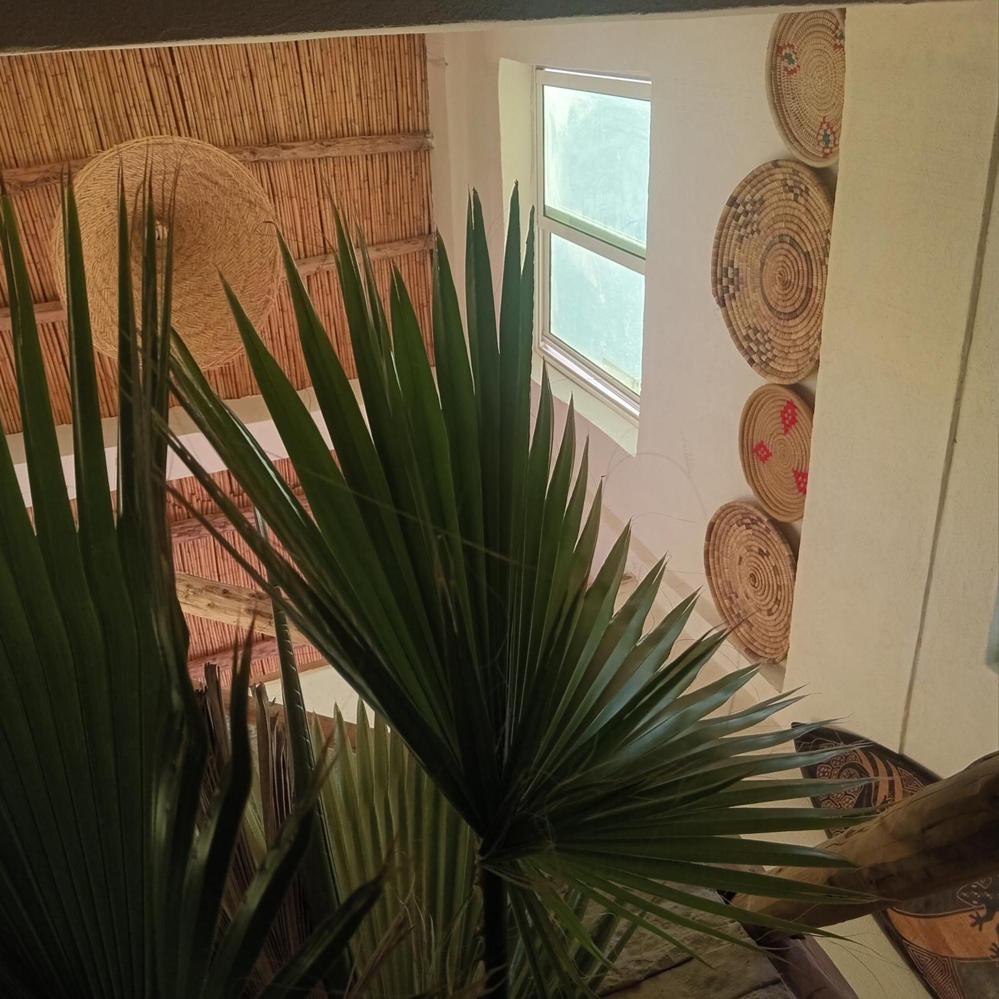 Moroccan Boho Surf House Agadir Dış mekan fotoğraf