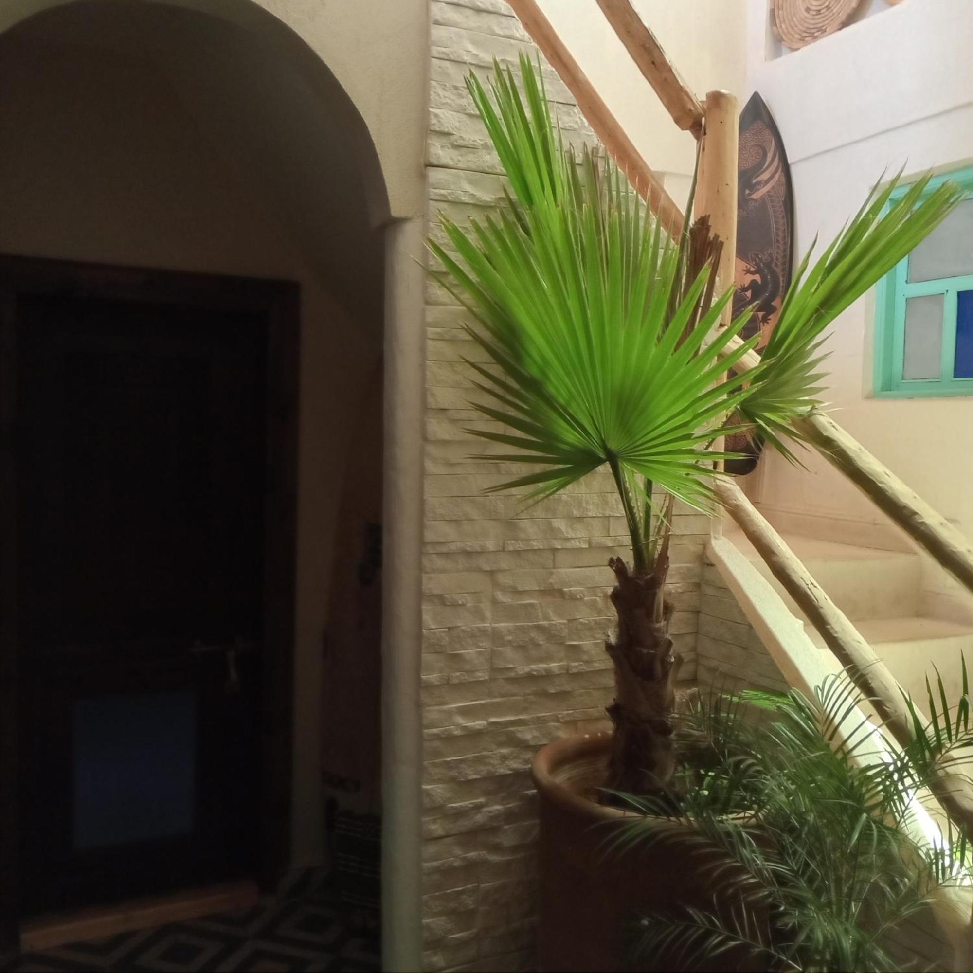 Moroccan Boho Surf House Agadir Dış mekan fotoğraf